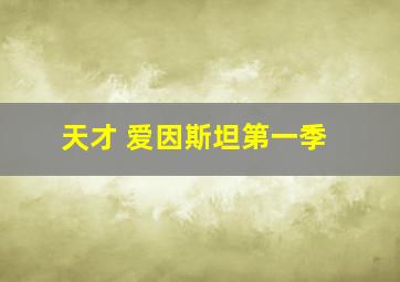 天才 爱因斯坦第一季